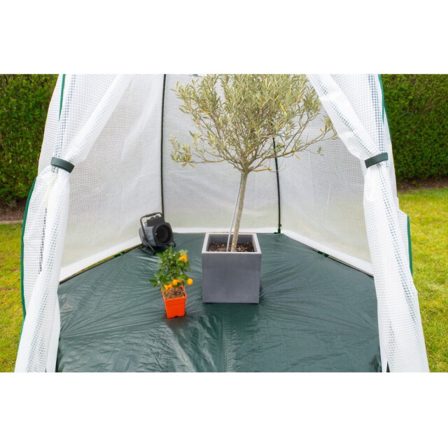 Westmann Plant overwinteringstent avocado 250x250x250 cm 3048322 large
