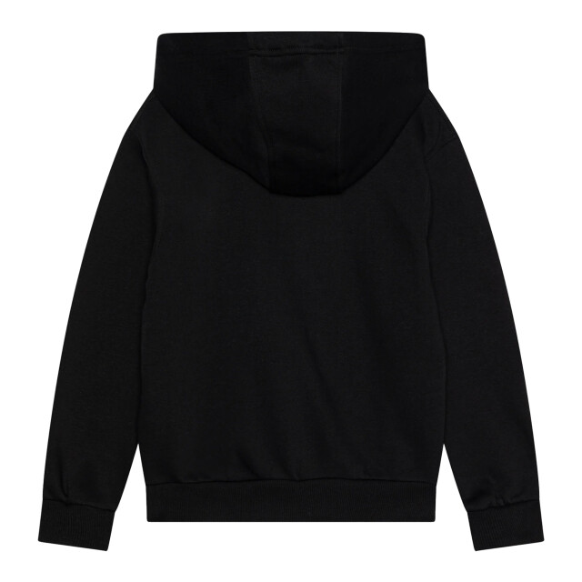 Nike Kinderen/kinderen cr7 club fleece hoodie UTPP5553_greysilver large