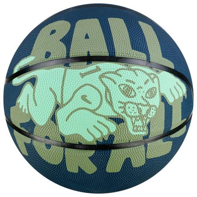 Nike Speeltuin grafische alledaagse basketbal UTPP2857_blue large