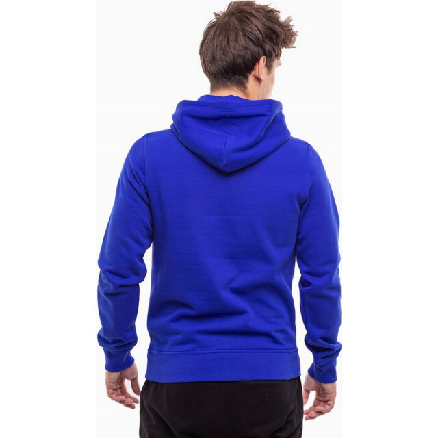 Champion Heren script logo hoodie UTMR460_royalblue large