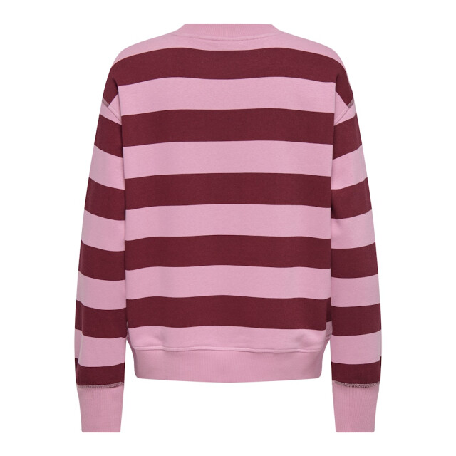Jacqueline de Yong Jdybetina ls ebroidery sweat dessin 4209.69.0005 large