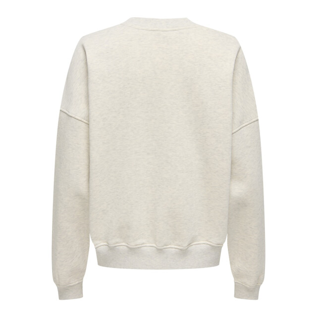 Jacqueline de Yong Jdymesa ls o-neck emb sweat jrs noos beige 4209.05.0038 large