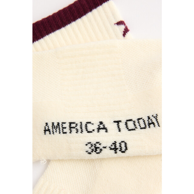 America Today Tate 1522002461 833 large