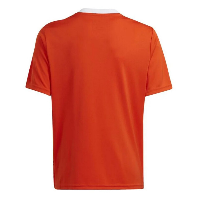 Adidas Kinderen/kinderen team icoon 23 t-shirt UTPP5562_orange large