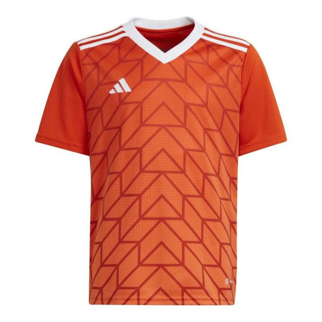 Adidas Kinderen/kinderen team icoon 23 t-shirt UTPP5562_orange large