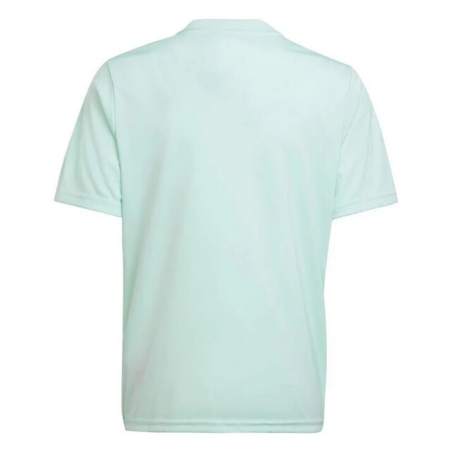 Adidas Kinderen/kinderen team icoon 23 t-shirt UTPP5562_blue large