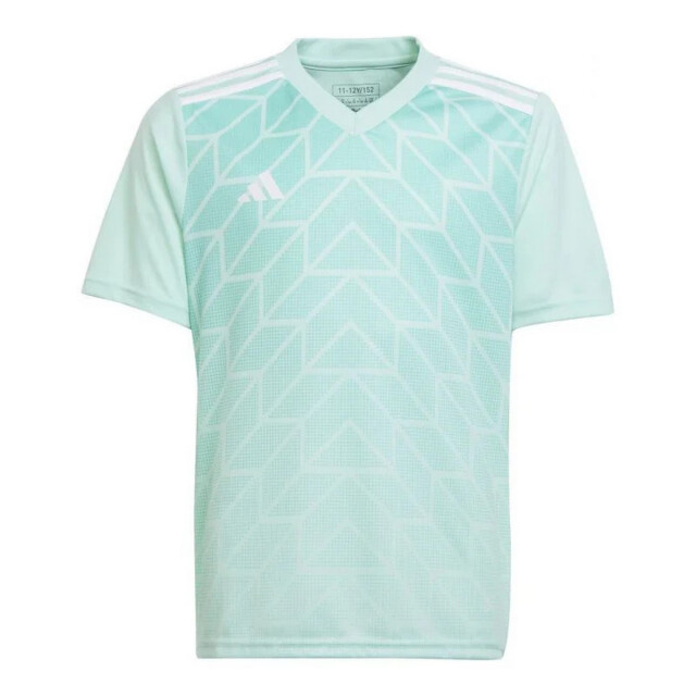 Adidas Kinderen/kinderen team icoon 23 t-shirt UTPP5562_blue large