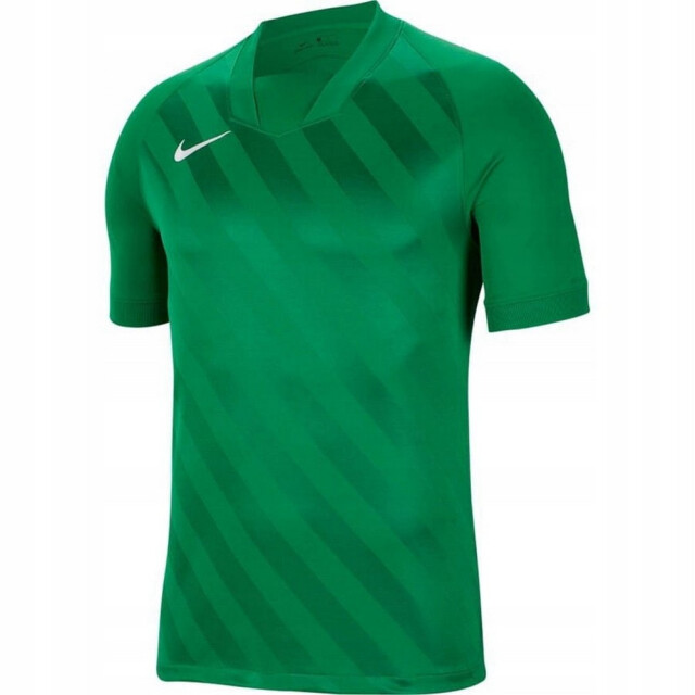 Nike Kinder/kids challange dri-fit t-shirt UTPP3861_green large