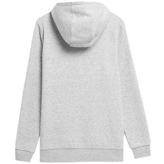 4F Dames ss23tswsf372 lichtgewicht hoodie UTPP1774_grey large