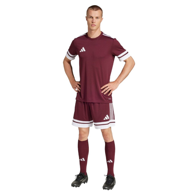 Adidas Heren squadra 25 korte broek UTPP5516_burgundy large
