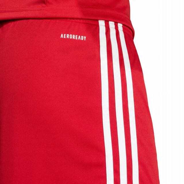 Adidas Heren squadra 25 korte broek UTPP5516_red large