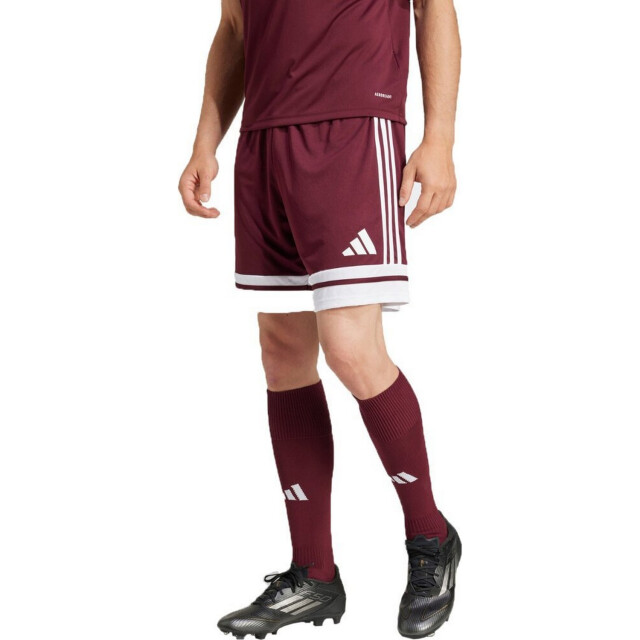 Adidas Heren squadra 25 korte broek UTPP5516_burgundy large