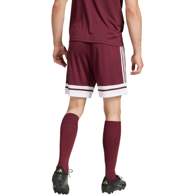 Adidas Heren squadra 25 korte broek UTPP5516_burgundy large