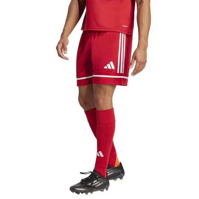 Adidas Heren squadra 25 korte broek UTPP2768_red large
