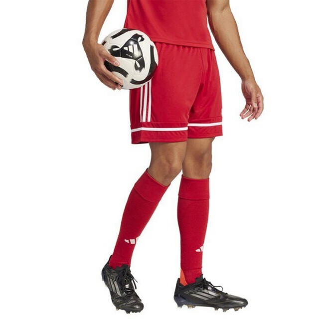 Adidas Heren squadra 25 korte broek UTPP2768_red large