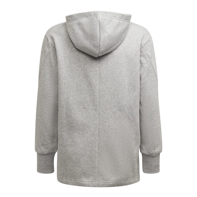 Adidas Meisjes groot logo hoodie UTPP1918_greysilver large