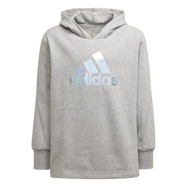 Adidas Meisjes groot logo hoodie UTPP1918_greysilver large