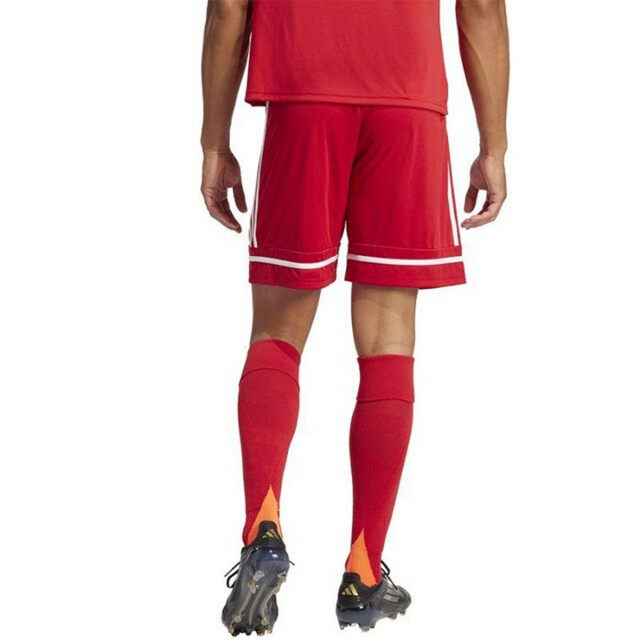 Adidas Heren squadra 25 korte broek UTPP2768_red large
