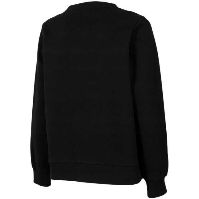 4F Dames logo pull over sweatshirt UTPP1530_black large