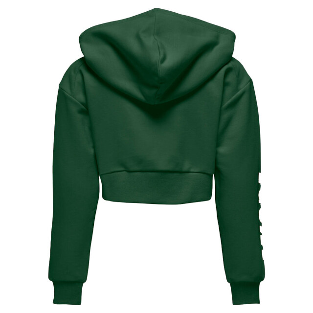 Only Hoodie 15331171 kogdiana Kids Only Hoodie 15331171 KOGDIANA large