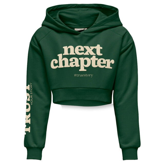 Only Hoodie 15331171 kogdiana Kids Only Hoodie 15331171 KOGDIANA large