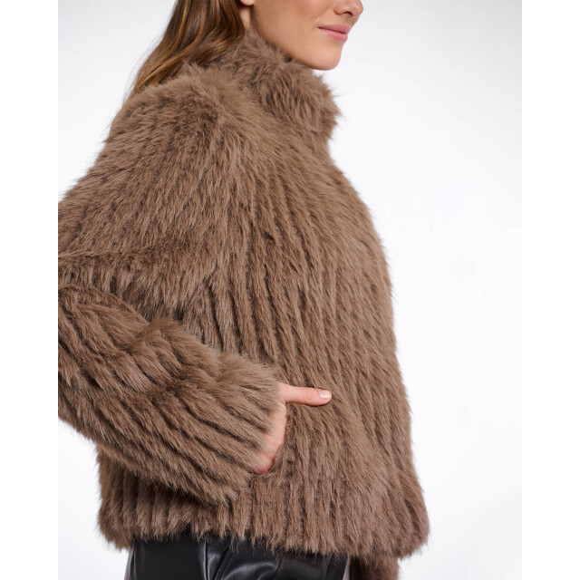 Rino & Pelle Jack faith.7002511 Rino & Pelle Jack Faith.7002511 large