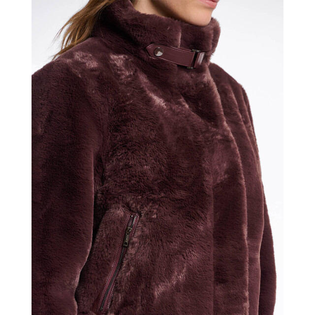 Rino & Pelle Jack ambra.7002511 Rino & Pelle Jack Ambra.7002511 large