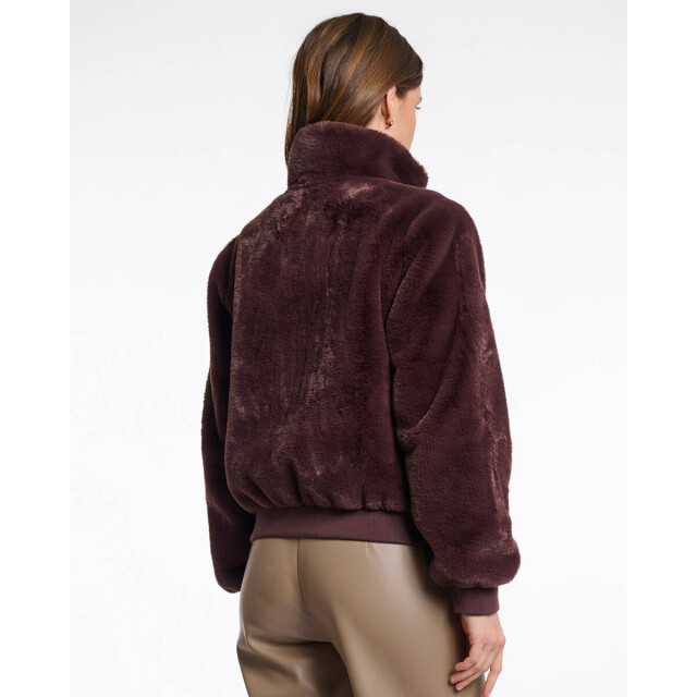 Rino & Pelle Jack ambra.7002511 Rino & Pelle Jack Ambra.7002511 large