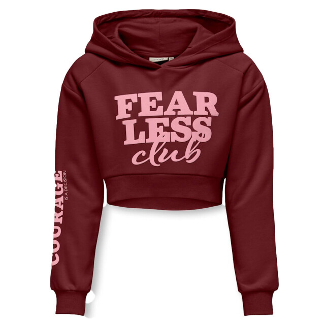 Only Hoodie 15331171 kogdiana Kids Only Hoodie 15331171 KOGDIANA large