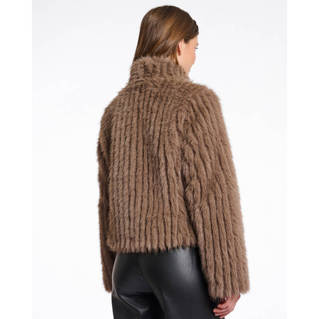Rino & Pelle Jack faith.7002511 Rino & Pelle Jack Faith.7002511 large