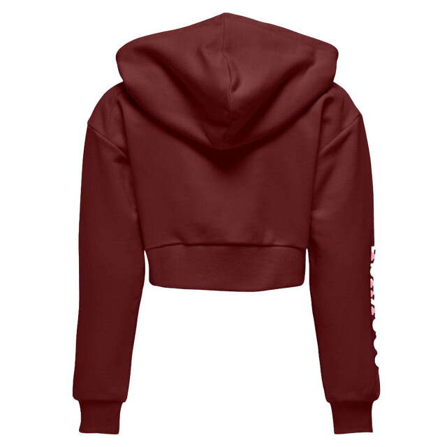 Only Hoodie 15331171 kogdiana Kids Only Hoodie 15331171 KOGDIANA large