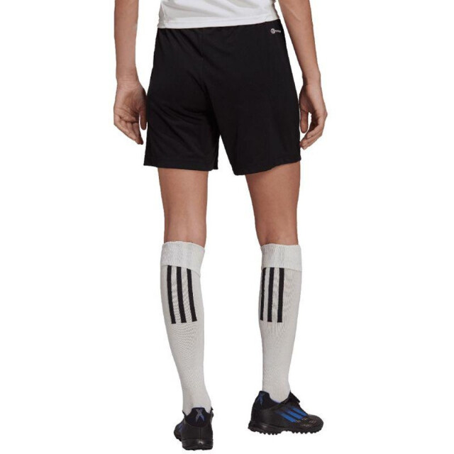 Adidas Dames entrada 22 logo trainingsshort UTPP3422_black large