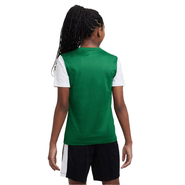 Nike Tiempo premier ii dri-fit t-shirt voor kinderen/kinderen UTPP5878_whitegreen large
