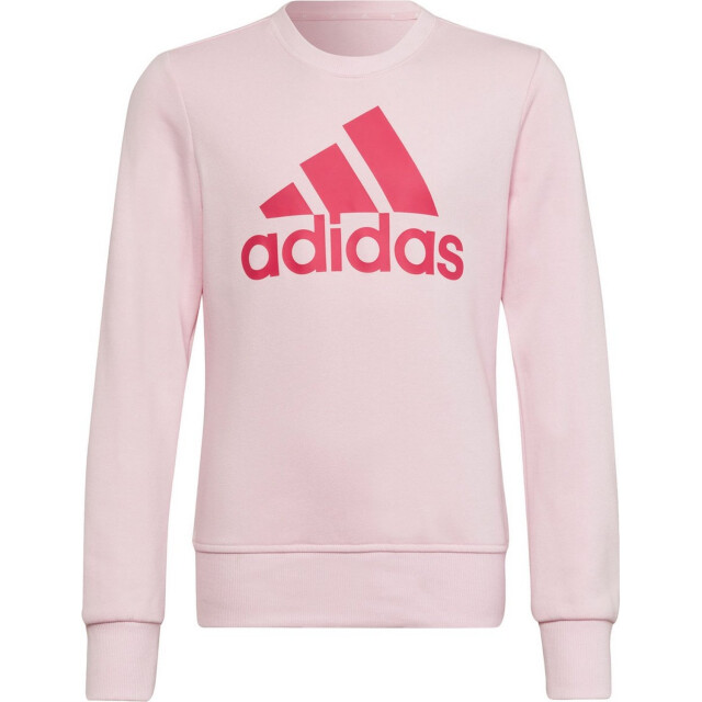 Adidas Sweatshirt met groot logo voor kinderen/kinderen UTPP1661_pink large