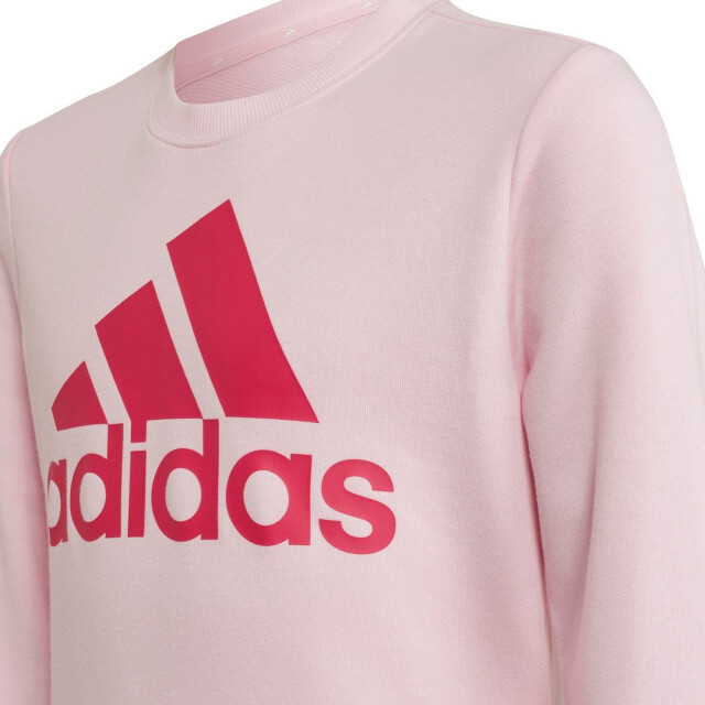 Adidas Sweatshirt met groot logo voor kinderen/kinderen UTPP1661_pink large