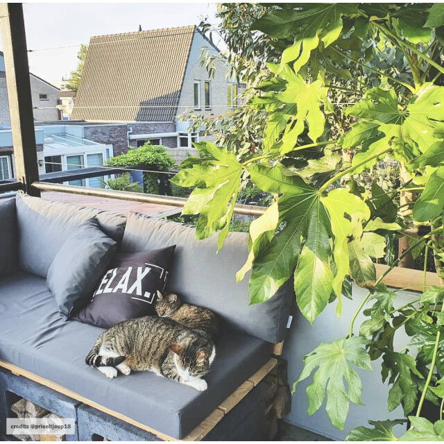 Gek op kussens! Relax outdoor | 45 x 45 cm | kussenhoes | polyester 3239390 large