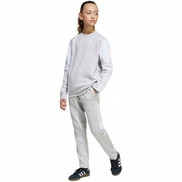 Adidas Sweatshirt met ronde hals squadra 25 voor kinderen/kinderen UTPP4965_greysilver large