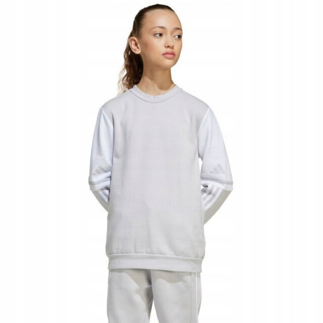 Adidas Sweatshirt met ronde hals squadra 25 voor kinderen/kinderen UTPP4965_greysilver large