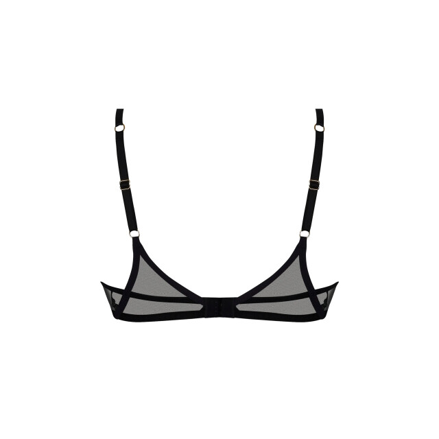 Lise Charmel Coque desir et volupte ACJ8555 large