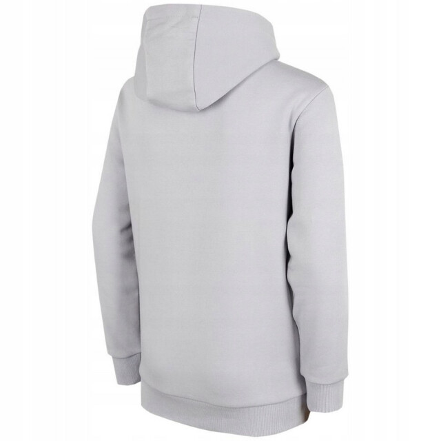 4F Kinder/kinder hjz22 hoodie UTPP141_greysilver large
