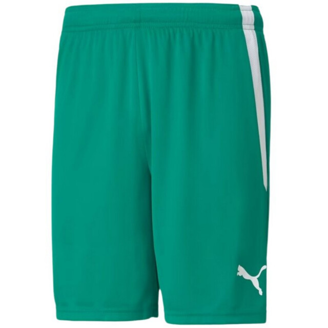 Puma Heren teamliga shorts UTPP5066_green large