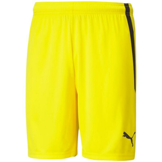 Puma Heren teamliga shorts UTPP5066_yellow large