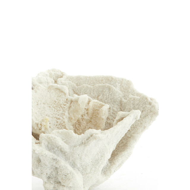 Light & Living ornament coral 23x16x13cm - 3185454 large