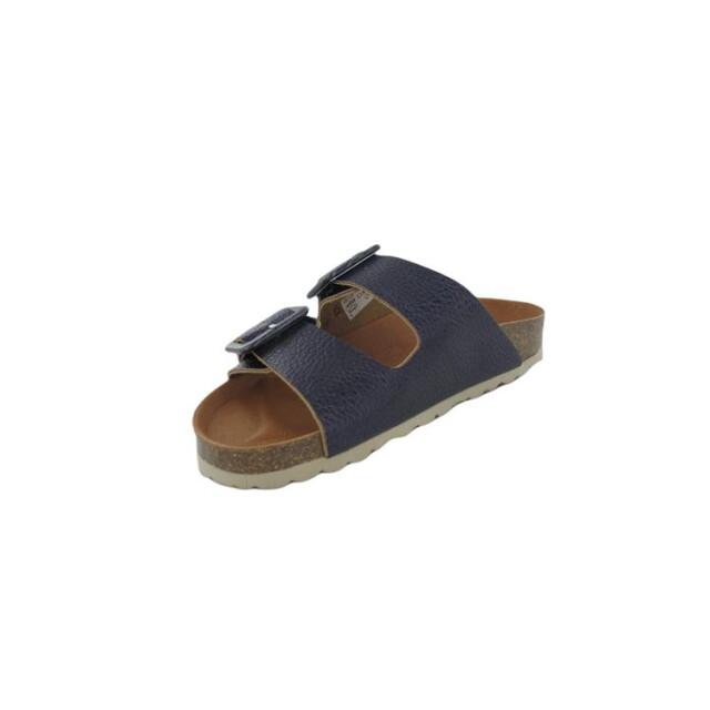 Verbenas Randell Randell large