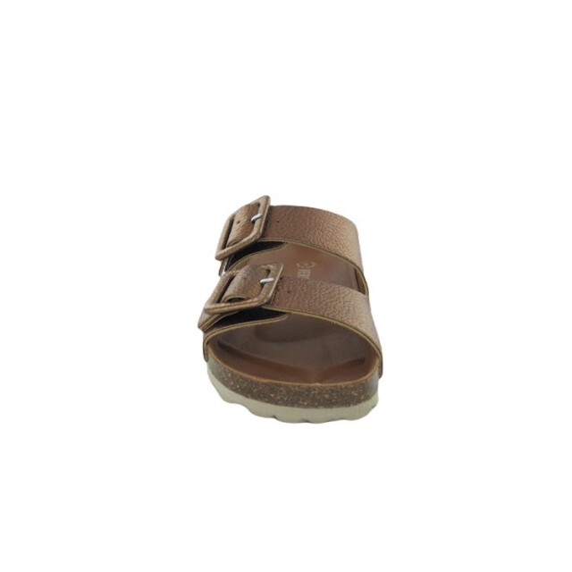 Verbenas Randell Randell large