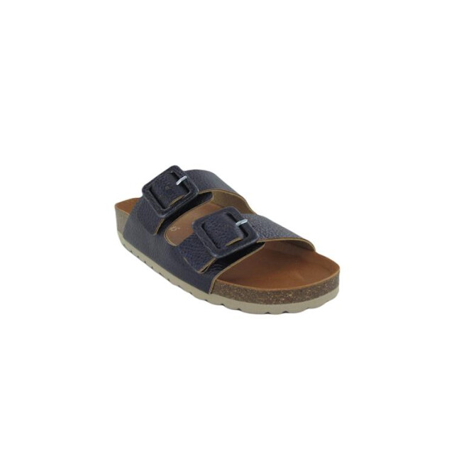 Verbenas Randell Randell large