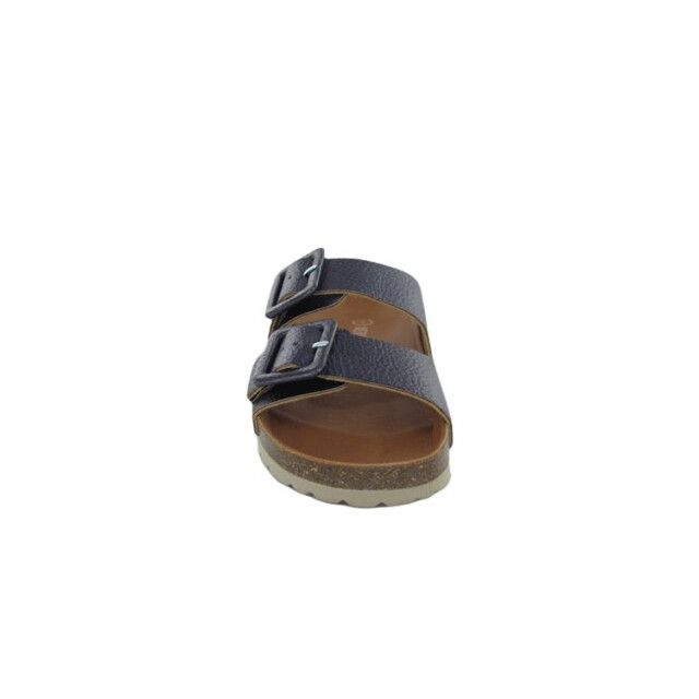 Verbenas Randell Randell large