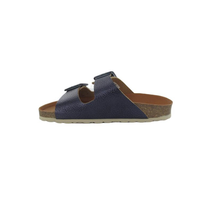 Verbenas Randell Randell large