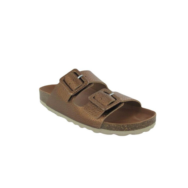 Verbenas Randell Randell large