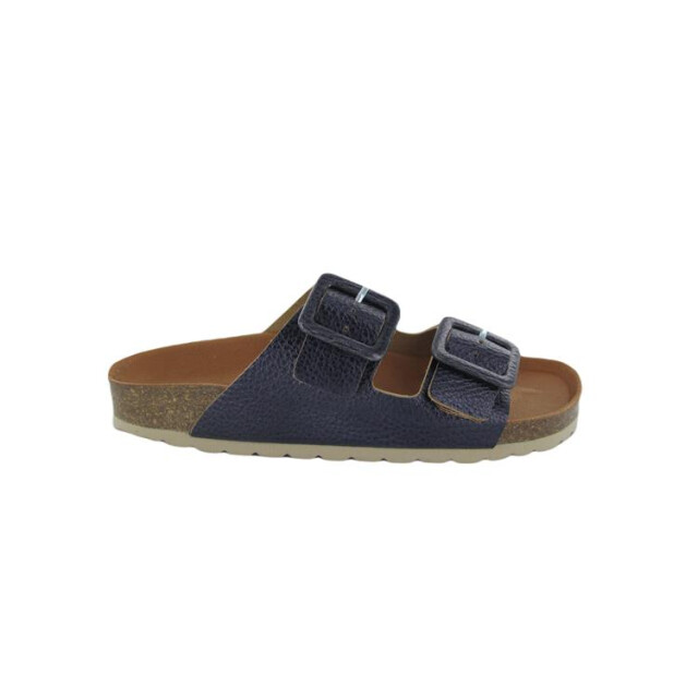 Verbenas Randell Randell large